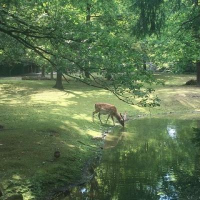 请到广东过大年｜又双叒叕上热搜！速看广东文旅的“隐藏人设”